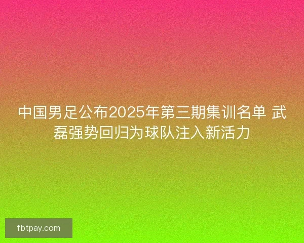 中国男足公布2025年第三期集训名单 武磊强势回归为球队注入新活力