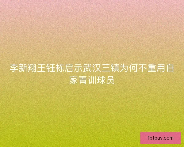 李新翔王钰栋启示武汉三镇为何不重用自家青训球员